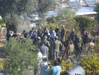 Les colons israéliens harcèlent les cueilleurs d'olives à Hébron